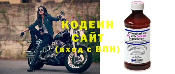 мдпв Инсар