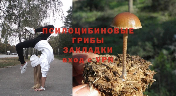эйфоретик Инта