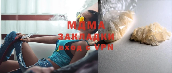 мдпв Инсар
