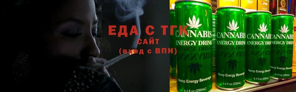 мдпв Инсар