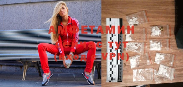 мдпв Инсар