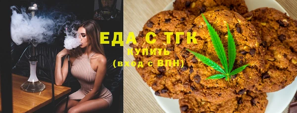 мдпв Инсар
