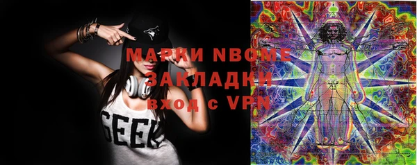 мдпв Инсар