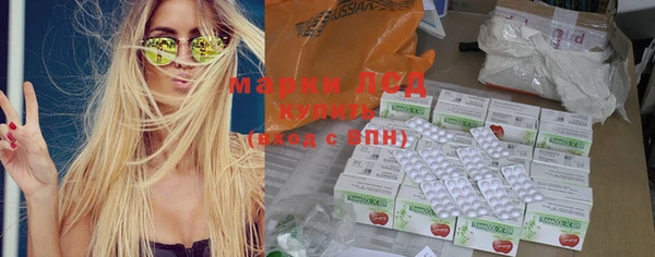 эйфоретик Инта