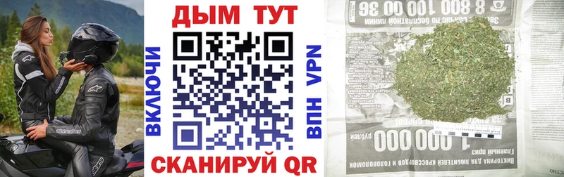 Купить где  Пионерский  Бошки марихуана Ganja 